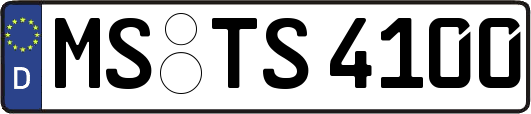 MS-TS4100