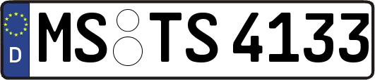 MS-TS4133