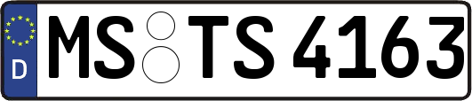 MS-TS4163