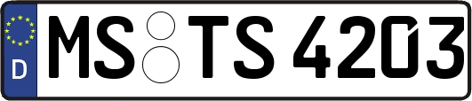 MS-TS4203