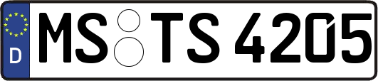 MS-TS4205
