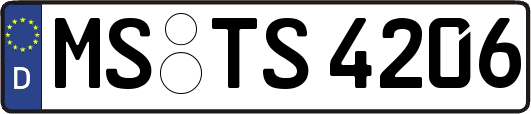 MS-TS4206