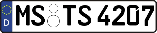 MS-TS4207