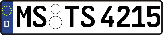 MS-TS4215