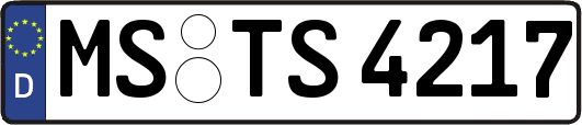 MS-TS4217