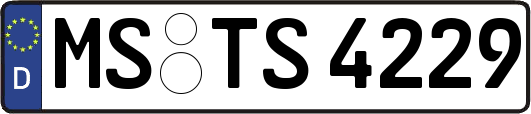MS-TS4229