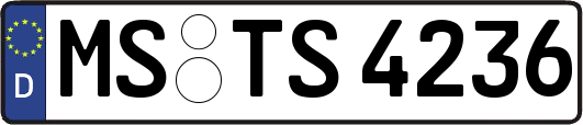 MS-TS4236