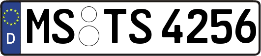 MS-TS4256