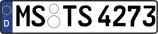 MS-TS4273