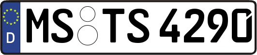 MS-TS4290