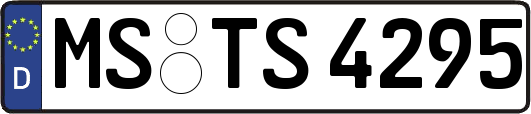 MS-TS4295