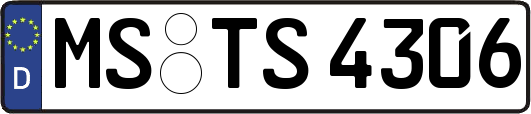 MS-TS4306