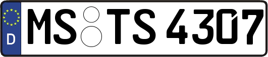 MS-TS4307