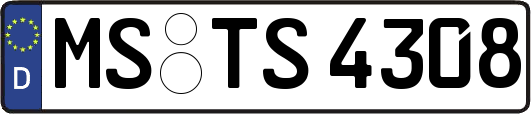 MS-TS4308