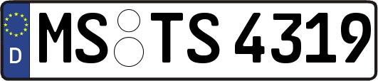 MS-TS4319