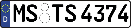 MS-TS4374