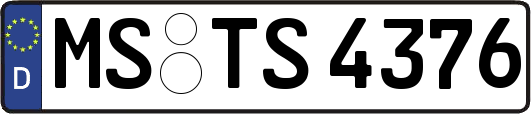 MS-TS4376