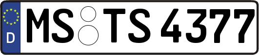 MS-TS4377
