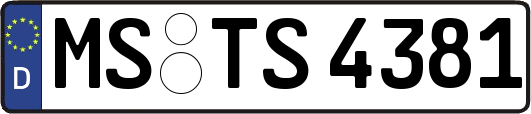 MS-TS4381