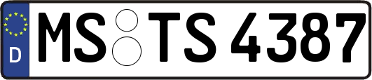 MS-TS4387
