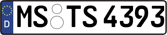 MS-TS4393