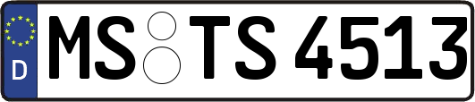 MS-TS4513