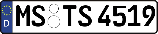 MS-TS4519