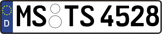MS-TS4528