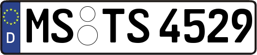 MS-TS4529