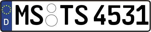 MS-TS4531