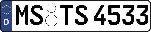 MS-TS4533