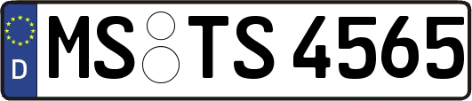 MS-TS4565