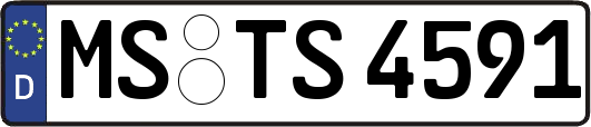 MS-TS4591