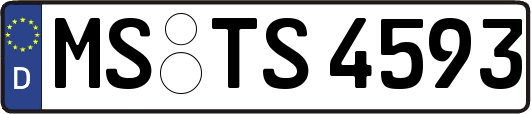 MS-TS4593
