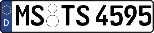 MS-TS4595
