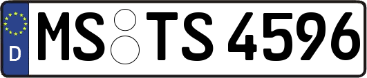MS-TS4596