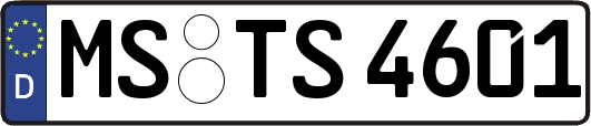 MS-TS4601