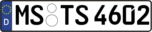 MS-TS4602