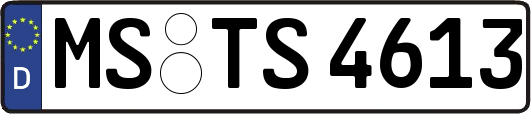 MS-TS4613