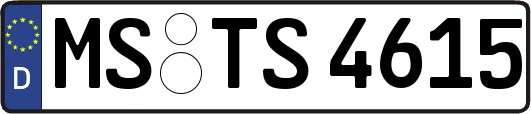 MS-TS4615