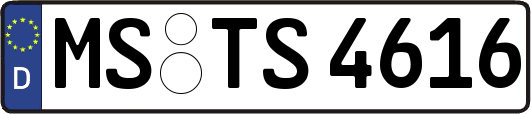 MS-TS4616