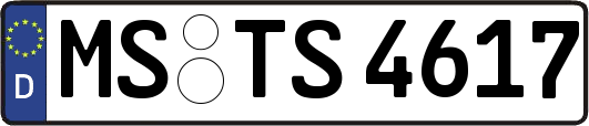 MS-TS4617