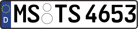 MS-TS4653