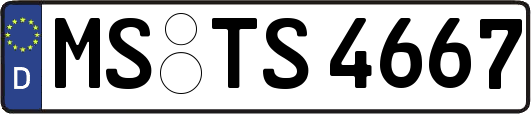 MS-TS4667