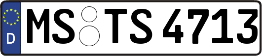 MS-TS4713