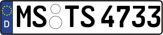 MS-TS4733