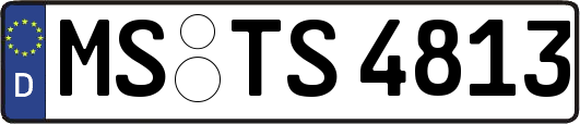 MS-TS4813