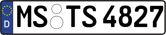 MS-TS4827