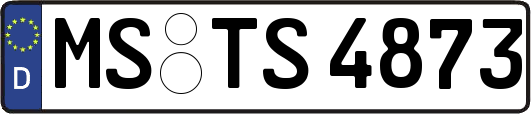 MS-TS4873