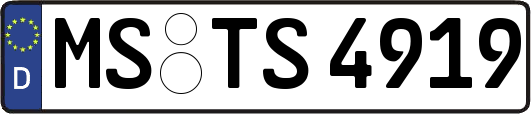 MS-TS4919
